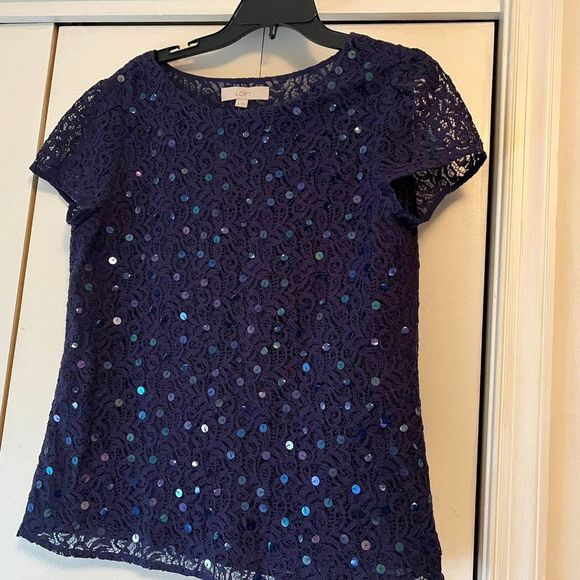 Ann Taylor LOFT Royal Blue Lace Blouse with Sequin Disks - Fully Lined - Medium - Picture 2 of 5